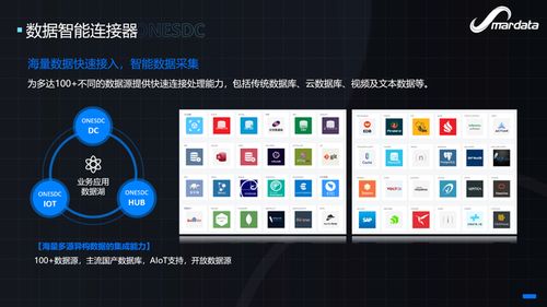 软件能力，重新想象 数睿数据出席Njsd2021第七届全球软件大会，共话数字文化创意软件开发新篇章