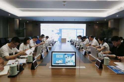 互联网乐乐小镇迎来省级初考 数字文化创意软件开发定位未来三年发展方向